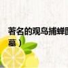 著名的觀鳥捕蟬圖來自哪座唐代墓葬（觀鳥捕蟬圖出自哪個墓）