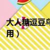 大人糖逗豆鳥怎么用視頻（大人糖逗豆鳥怎么用）