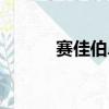 賽佳伯鼻腔舒冷敷敷料（賽佳）