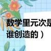 數學里元次是誰發明的（數學方程中的元次是誰創造的）
