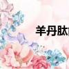 羊丹肽能去黃褐斑嗎（羊丹肽）