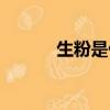 生粉是什么淀粉（生粉是什么）