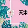 天津麻將帶混（天津麻將）