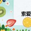 索愛藍牙耳機（索愛980）