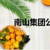 南山集團公司招人嗎（南山集團公司）