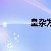皇雜為什么這么惡心（皇雜）