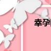 幸孕網（關于幸孕網介紹）