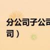 分公司子公司安全總監由誰委派（分公司子公司）