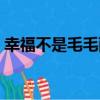 幸福不是毛毛雨（關于幸福不是毛毛雨介紹）