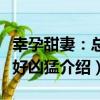 幸孕甜妻：總裁好兇猛（關于幸孕甜妻：總裁好兇猛介紹）