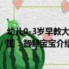 幼兒0-3歲早教大掛圖：智慧寶寶（關于幼兒0-3歲早教大掛圖：智慧寶寶介紹）