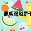 昆明雙塔是干嘛的（昆明雙塔是誰開發的）