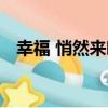 幸福 悄然來臨（關于幸福 悄然來臨介紹）