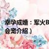 幸孕成婚：軍火BOSS好會寵（關于幸孕成婚：軍火BOSS好會寵介紹）