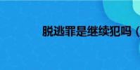脫逃罪是繼續犯嗎(脫逃罪)