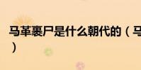 馬革裹尸是什么朝代的(馬革裹尸是哪個朝代)