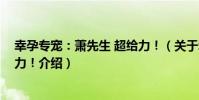 幸孕專寵:蕭先生 超給力!(關于幸孕專寵:蕭先生 超給力!介紹)