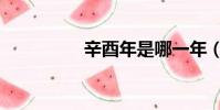 辛酉年是哪一年(辛酉)