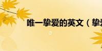 唯一摯愛的英文(摯愛的英文)