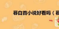 暮白首小說好看嗎(暮白首小說)