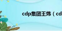 cdp集團王煒(cdp集團)