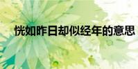 恍如昨日卻似經年的意思(經年的意思)