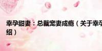 幸孕甜妻:總裁寵妻成癮(關于幸孕甜妻:總裁寵妻成癮介紹)