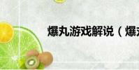 爆丸游戲解說(爆丸游戲)