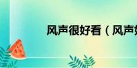 風聲很好看(風聲好看嗎)