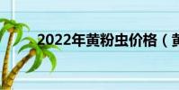 2022年黃粉蟲價格(黃粉蟲價格)