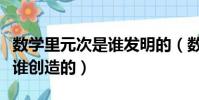數學里元次是誰發明的(數學方程中的元次是誰創造的)