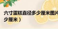 六寸蛋糕直徑多少厘米圖片(六寸蛋糕直徑多少厘米)