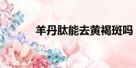 羊丹肽能去黃褐斑嗎(羊丹肽)
