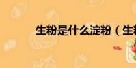 生粉是什么淀粉(生粉是什么)