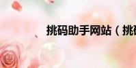 挑碼助手網站(挑碼助手)