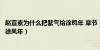 趙宣素為什么把紫氣給徐鳳年 章節(趙宣素為什么把紫氣給徐鳳年)
