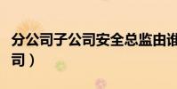 分公司子公司安全總監由誰委派(分公司子公司)
