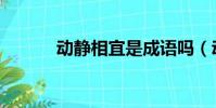 動靜相宜是成語嗎(動靜相宜)