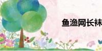 魚漁網長襪