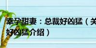幸孕甜妻:總裁好兇猛(關于幸孕甜妻:總裁好兇猛介紹)
