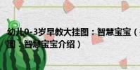 幼兒0-3歲早教大掛圖:智慧寶寶(關于幼兒0-3歲早教大掛圖:智慧寶寶介紹)