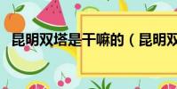 昆明雙塔是干嘛的(昆明雙塔是誰開發的)