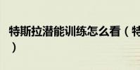 特斯拉潛能訓練怎么看(特斯拉潛能開發訓練)
