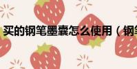 買的鋼筆墨囊怎么使用(鋼筆墨囊怎么使用)