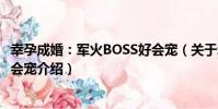 幸孕成婚:軍火BOSS好會寵(關于幸孕成婚:軍火BOSS好會寵介紹)