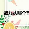 數九從哪個節氣開始算（數九從哪個節氣開始）