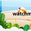 watchman充電樁（watchman）