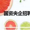 國資央企招聘網站官網招聘（國資委招聘）