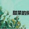 甜菜的拼音怎么讀（甜菜的拼音）