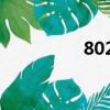 8024是啥意思（8024）